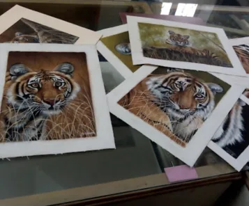 Ranthambore School of Art