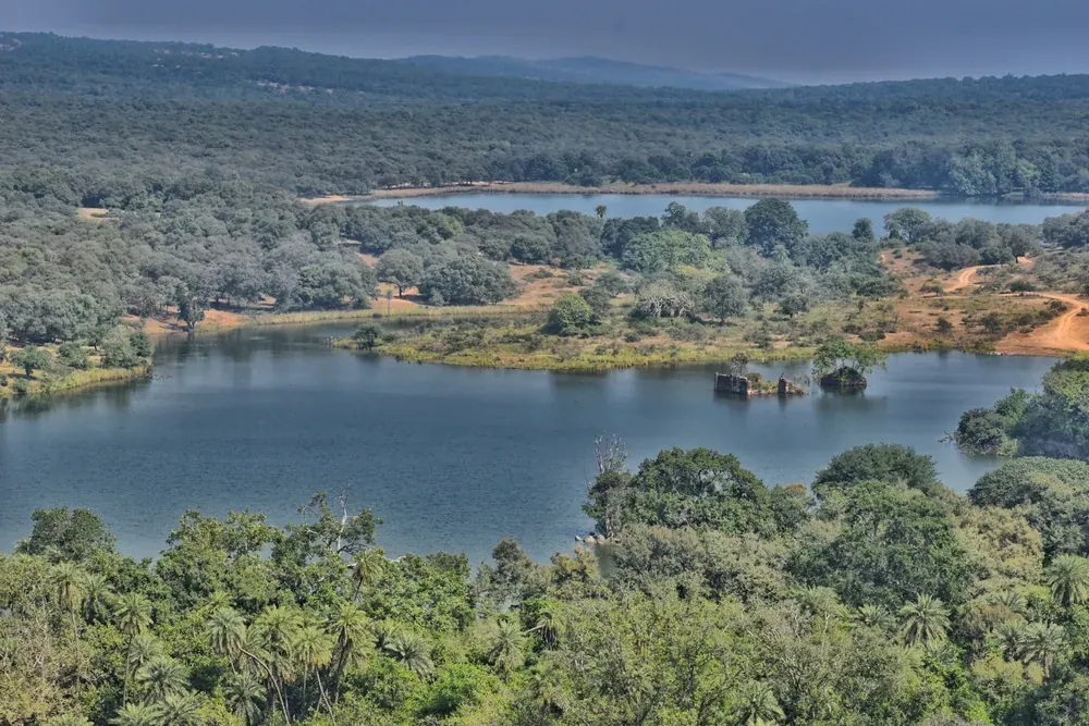 Landscape in Ranthambore National Park