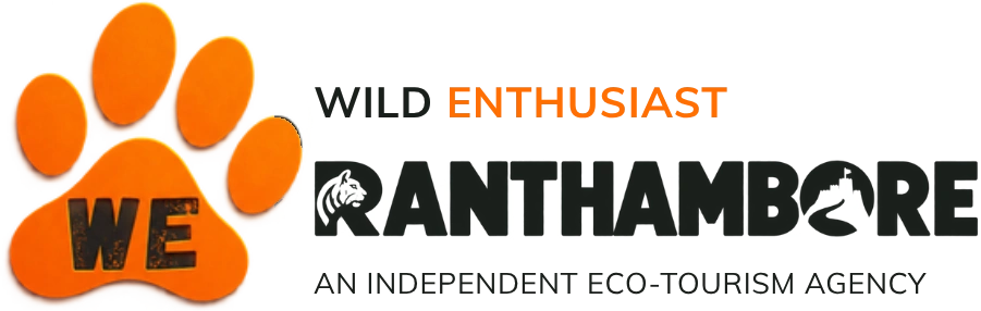 Wild Enthusiast Ranthambore