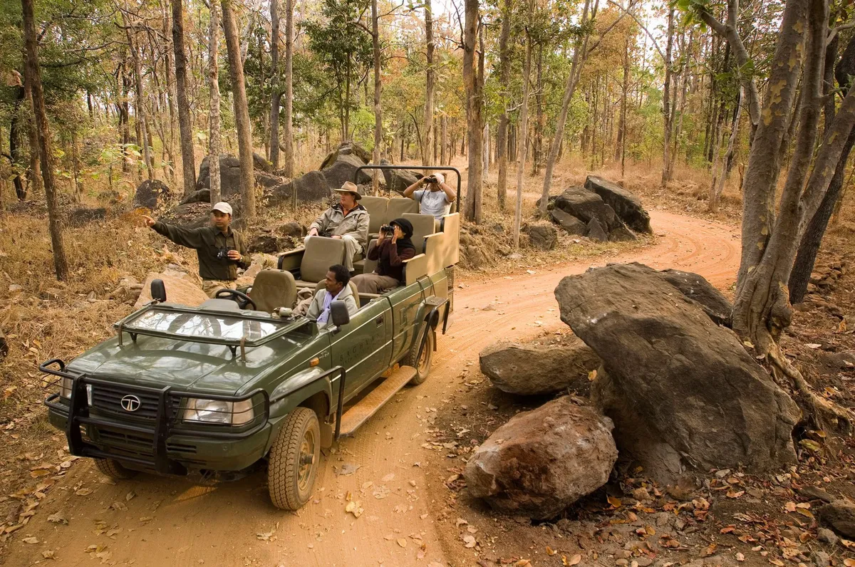 Private Guided Safaris
