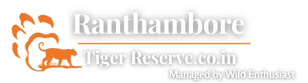 Visit Ranthambore Tiger Reserve to sight the Royal Bengal Tiger & explore the heritage in wilderness.